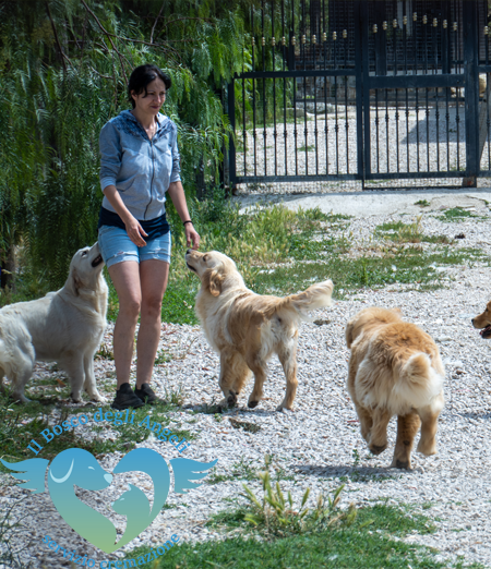 Pensioni per Animali: Come Scegliere la Migliore per il Tuo Pet